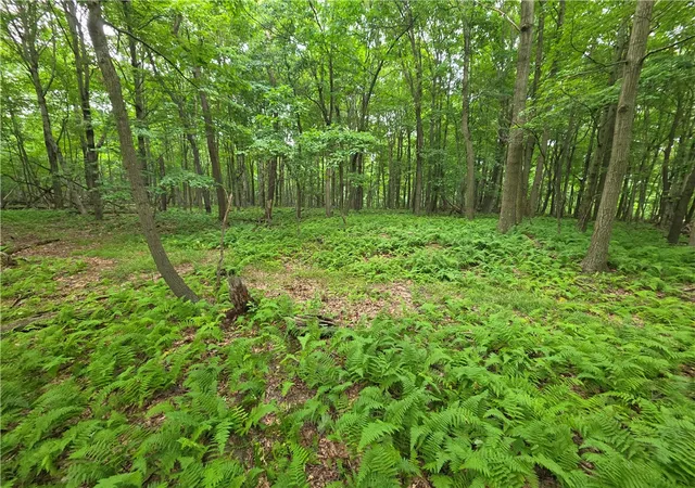 Photo 2 of Land for sale at 0 Mudlick Holw Rd, Brighton Twp, PA 15009 | MLS# 1772971 | Listing updated on 2026-09-04