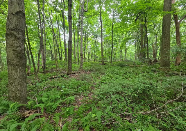 Photo 3 of Land for sale at 0 Mudlick Holw Rd, Brighton Twp, PA 15009 | MLS# 1772971 | Listing updated on 2026-09-04