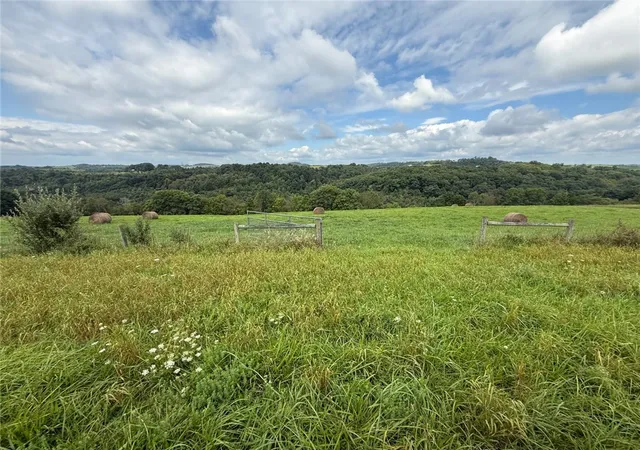 Photo 3 of Land for sale at 295 Acres± Along Orchard Rd, Punxsutawney Area School District, PA 15770 | MLS# 1773138 | Listing updated on 2026-09-05