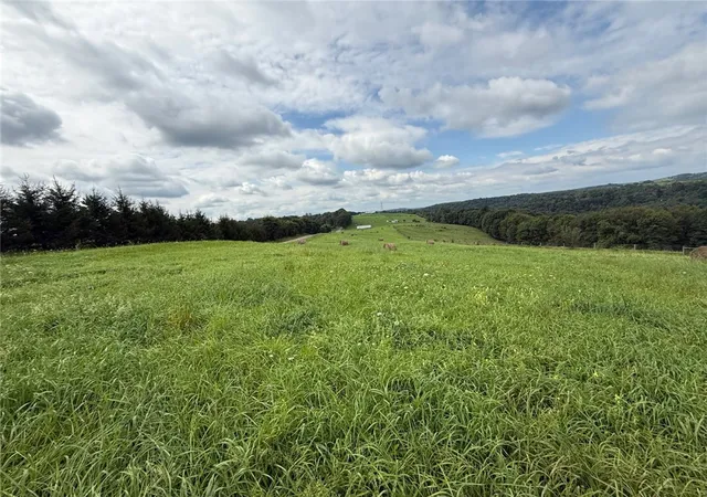 Photo 3 of Land for sale at 295 Acres± Along Orchard Rd, Punxsutawney Area School District, PA 15770 | MLS# 1773138 | Listing updated on 2026-09-05