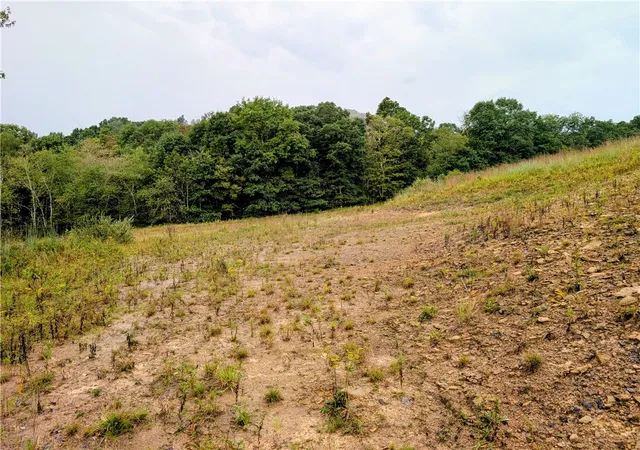 Photo 3 of Land for sale at 0 Little Rock Rd, Wayne Twp, PA 16201 | MLS# 1773205 | Listing updated on 2026-09-05