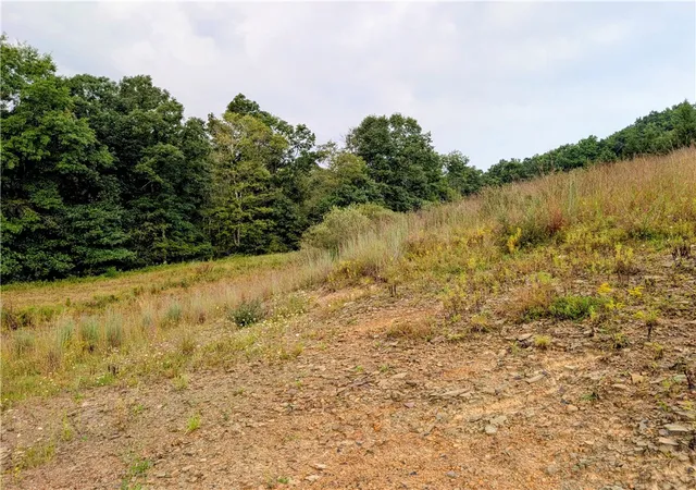 Photo 4 of Land for sale at 0 Little Rock Rd, Wayne Twp, PA 16201 | MLS# 1773205 | Listing updated on 2026-09-05