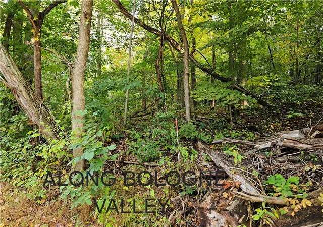 Photo 1 of Land for sale at 0 Bologne Valley Rd, North Sewickley Twp, PA 15010 | MLS# 1773446 | Listing updated on 2026-09-08