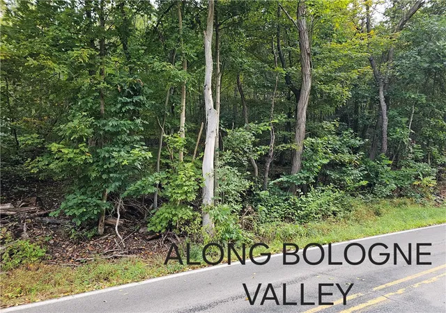 Photo 4 of Land for sale at 0 Bologne Valley Rd, North Sewickley Twp, PA 15010 | MLS# 1773446 | Listing updated on 2026-09-08