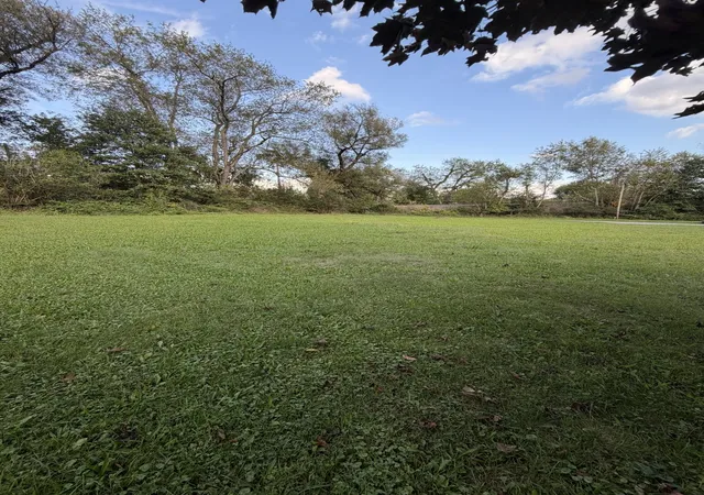 Photo 4 of Land for sale at 113 Railroad St, Chicora Boro, PA 16025 | MLS# 1774210 | Listing updated on 2026-09-13