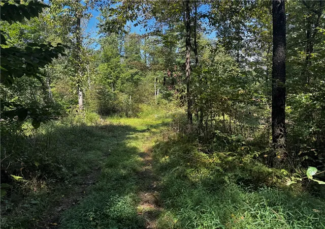 Photo 1 of Land for sale at 00 Slatertown Rd, Victory Twp, PA 16342 | MLS# 1774227 | Listing updated on 2026-09-12