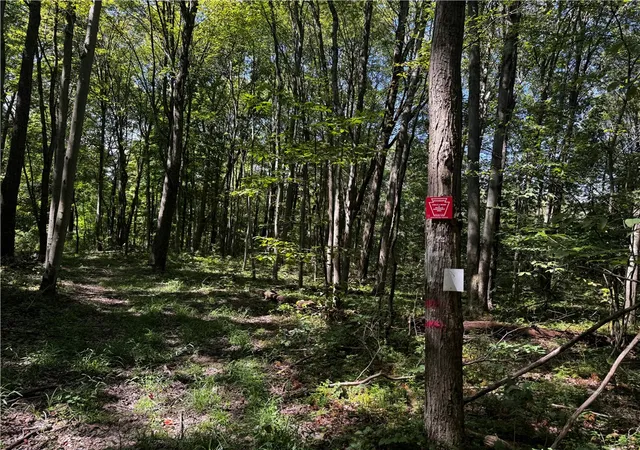 Photo 2 of Land for sale at 00 Slatertown Rd, Victory Twp, PA 16342 | MLS# 1774227 | Listing updated on 2026-09-12