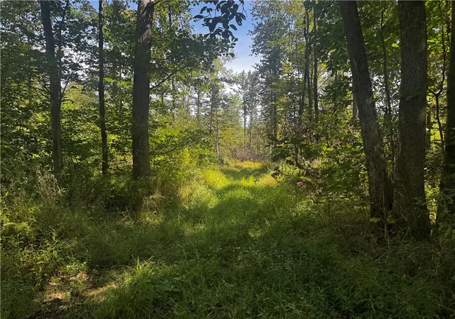 Photo 3 of Land for sale at 00 Slatertown Rd, Victory Twp, PA 16342 | MLS# 1774227 | Listing updated on 2026-09-12