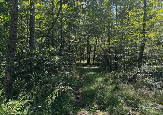 Photo 4 of Land for sale at 00 Slatertown Rd, Victory Twp, PA 16342 | MLS# 1774227 | Listing updated on 2026-09-12