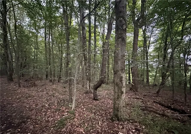 Photo 4 of House for sale at 125 Blue Rock Rd, Sugarcreek Twp, PA 16028 | MLS# 1774277 | Listing updated on 2026-09-14