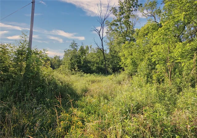 Photo 3 of Land for sale at 0 Henry Rd, Hempfield Twp, PA 15672 | MLS# 1774401 | Listing updated on 2026-09-14
