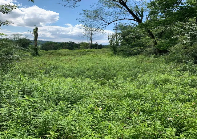 Photo 3 of Land for sale at 0 Henry Rd, Hempfield Twp, PA 15672 | MLS# 1774401 | Listing updated on 2026-09-14