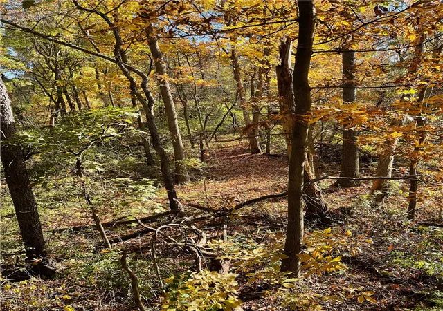 Photo 4 of Land for sale at 0 Henry Rd, Hempfield Twp, PA 15672 | MLS# 1774401 | Listing updated on 2026-09-14