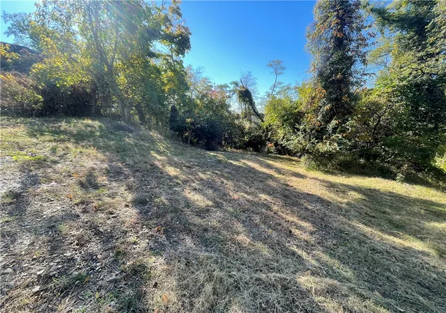 Photo 2 of Land for sale at 0 Buena Vista St, Pittsburgh, PA 15218 | MLS# 1779182 | Listing updated on 2026-10-14