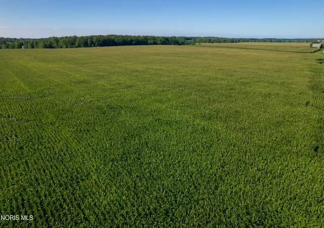 Photo 3 of Land for sale at 0 US 20, Montpelier, OH 43543 | MLS# 10006348 | Listing updated on 2026-09-02