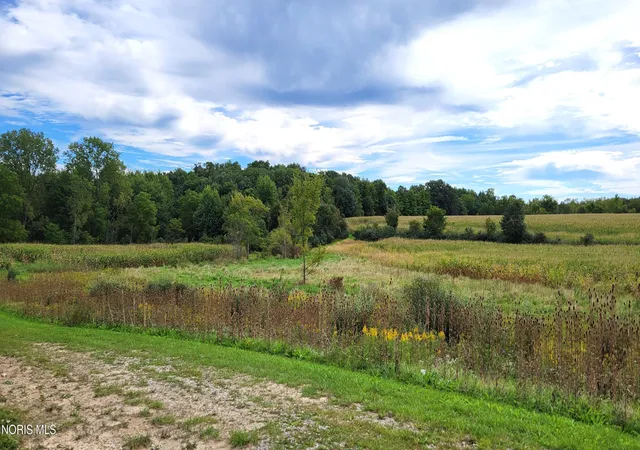 Land for sale at US Hwy 20a, Montpelier, OH 43543 | MLS# 10011982