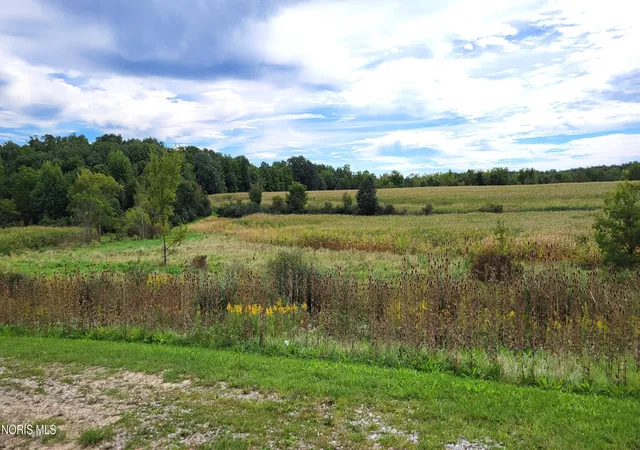 Photo 1 of Land for sale at US Hwy 20a, Montpelier, OH 43543 | MLS# 10011982 | Listing updated on 2026-09-25