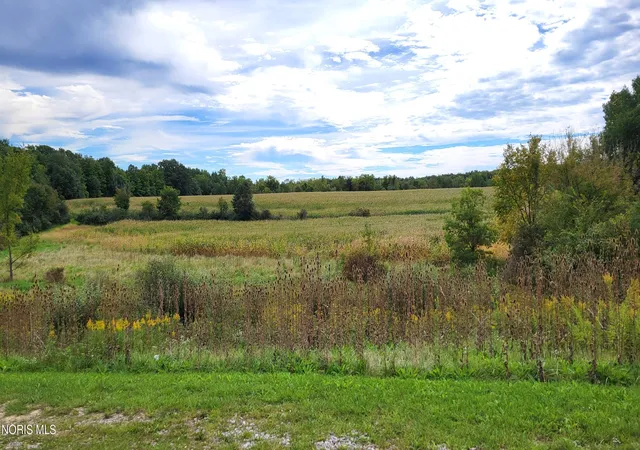 Photo 2 of Land for sale at US Hwy 20a, Montpelier, OH 43543 | MLS# 10011982 | Listing updated on 2026-09-25
