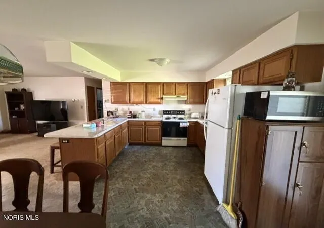 Photo 3 of Single family home for sale at 209 Norris St, Pioneer, OH 43554 | MLS# 10013003 | Listing updated on 2026-09-24