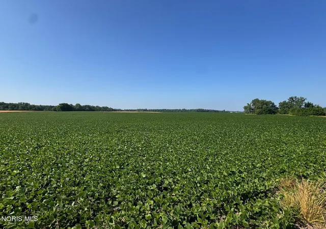 Photo 1 of Land for sale at 000 County Rd R, Pioneer, OH 43554 | MLS# 10013307 | Listing updated on 2026-09-11