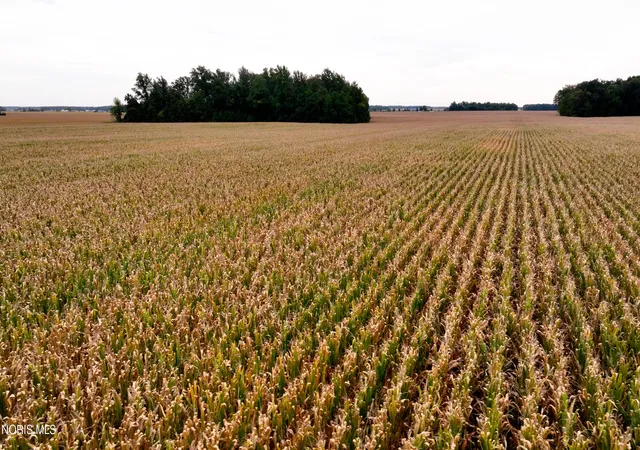 Photo 4 of Land for sale at 0 Oh 81, Alger, OH 45812 | MLS# 10014288 | Listing updated on 2026-10-20