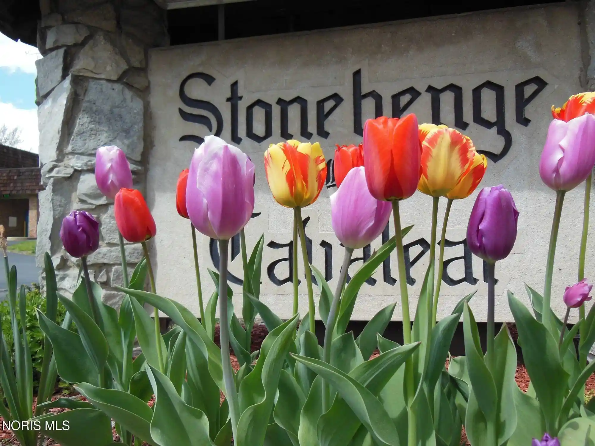 Listing Photo 25 - Condo for sale in 6530 Kingsbridge Dr located at 6530 Kingsbridge Dr, Sylvania, OH 43560 - Unit #Apt C2