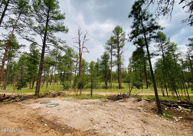 Photo 2 of Land for sale at 20 Pine Rd, Timberon, NM 88350 | MLS# 950456 | Listing updated on 2026-09-02