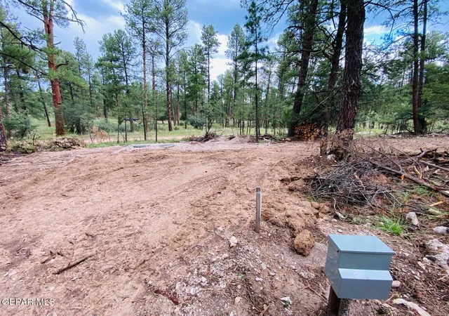 Photo 3 of Land for sale at 20 Pine Rd, Timberon, NM 88350 | MLS# 950456 | Listing updated on 2026-09-02