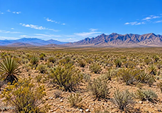 Photo 2 of Land for sale at 50 Acres Sparks Ranch Rd, Sierra Blanca, TX 79851 | MLS# 951704 | Listing updated on 2026-09-24