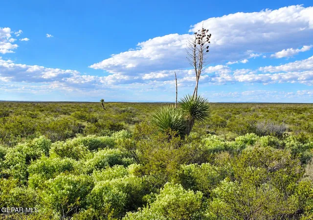 Photo 2 of Land for sale at Pn 105599 Sparks Ranch, Sierra Blanca, TX 79851 | MLS# 953493 | Listing updated on 2026-10-27