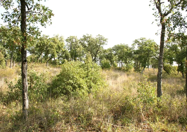 Photo 1 of Land for sale at D69 Hensley Rd, Gordon, TX 76453 | MLS# 13102428 | Listing updated on 2026-07-29