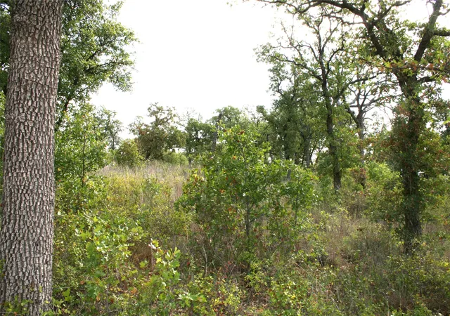 Photo 2 of Land for sale at D69 Hensley Rd, Gordon, TX 76453 | MLS# 13102428 | Listing updated on 2026-07-29
