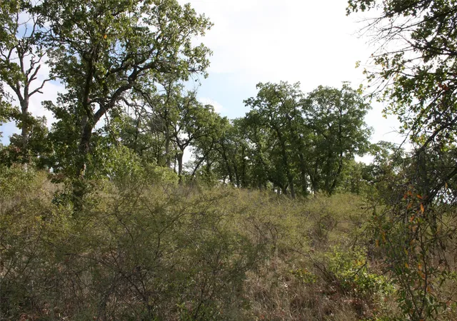 Photo 3 of Land for sale at D69 Hensley Rd, Gordon, TX 76453 | MLS# 13102428 | Listing updated on 2026-07-29