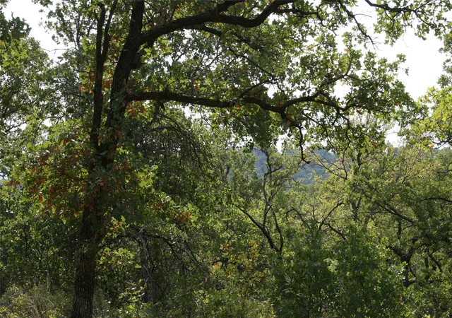 Photo 3 of Land for sale at D69 Hensley Rd, Gordon, TX 76453 | MLS# 13102428 | Listing updated on 2026-07-29