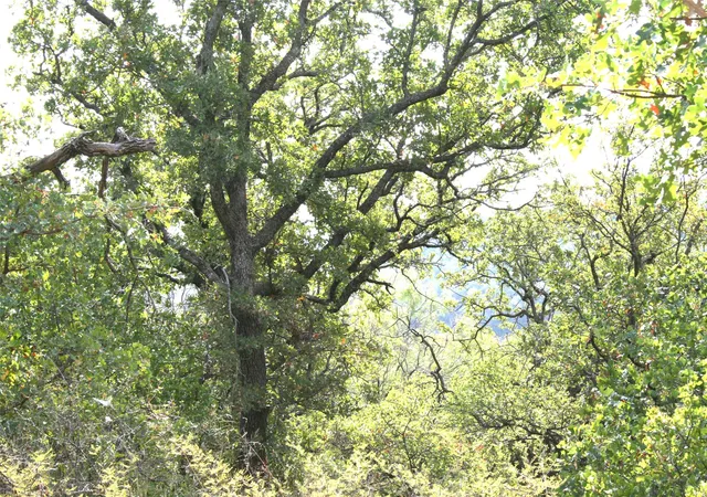 Photo 4 of Land for sale at D69 Hensley Rd, Gordon, TX 76453 | MLS# 13102428 | Listing updated on 2026-07-29