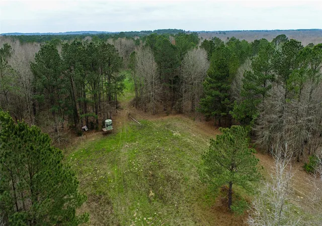 Photo 1 of Sale Pending at Tbd Central Rd, No City, TX 75686 | MLS# 20556500 | Listing updated on 2026-07-30