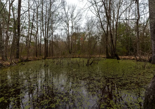 Photo 3 of Sale Pending at Tbd Central Rd, No City, TX 75686 | MLS# 20556500 | Listing updated on 2026-07-30