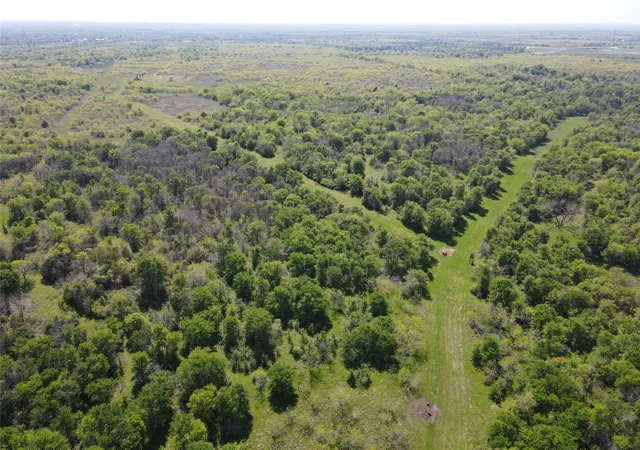 Photo 3 of Land for sale at Tbd 14971 Acres Se Cr 1240, Streetman, TX 75859 | MLS# 20557110 | Listing updated on 2026-09-14