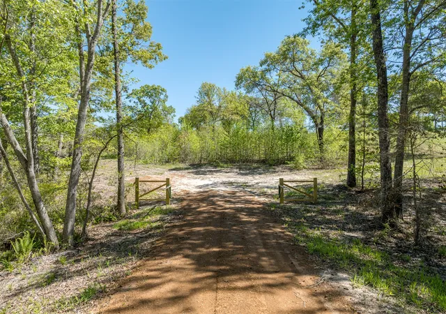 Photo 3 of Land for sale at Tbd Fm-3506, Frankston, TX 75763 | MLS# 20583366 | Listing updated on 2026-10-20