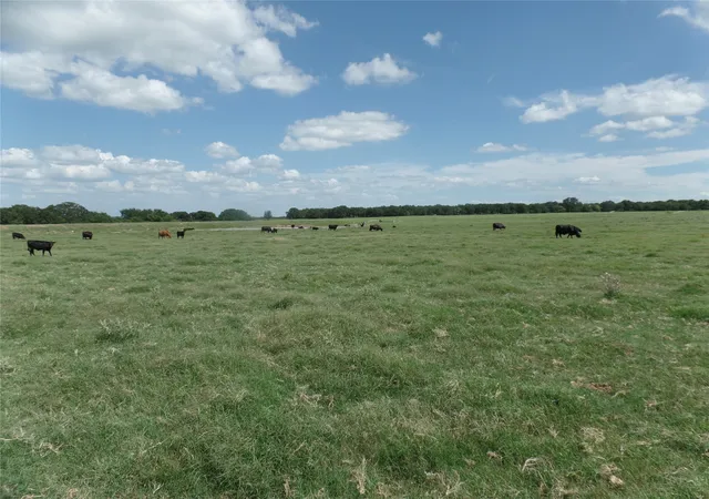 Photo 1 of Land for sale at Tbd Fm 3025, Stephenville, TX 76401 | MLS# 20600023 | Listing updated on 2026-09-14