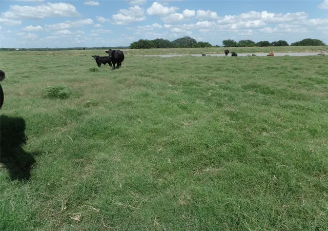 Photo 3 of Land for sale at Tbd Fm 3025, Stephenville, TX 76401 | MLS# 20600023 | Listing updated on 2026-09-14