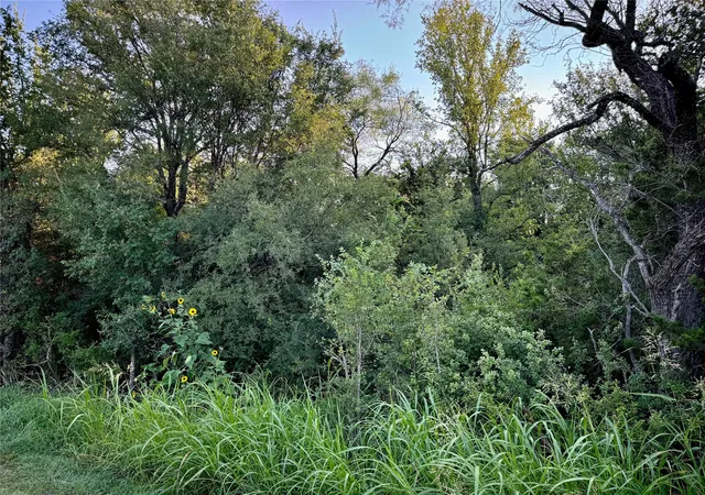 Photo 2 of Land for sale at 10601 County Road 1240, Cleburne, TX 76033 | MLS# 20704460 | Listing updated on 2026-08-01