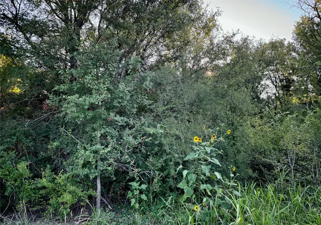 Photo 3 of Land for sale at 10661 County Road 1240, Cleburne, TX 76033 | MLS# 20704507 | Listing updated on 2026-08-01
