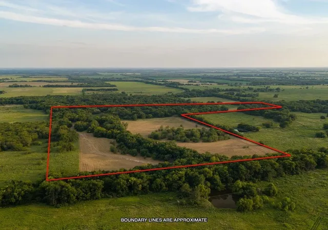 Photo 14 of Land for sale at Tbd County Road 3660 County Road 3660, Ladonia, TX 75449 | MLS# 20730513 | Listing updated on 2026-07-30