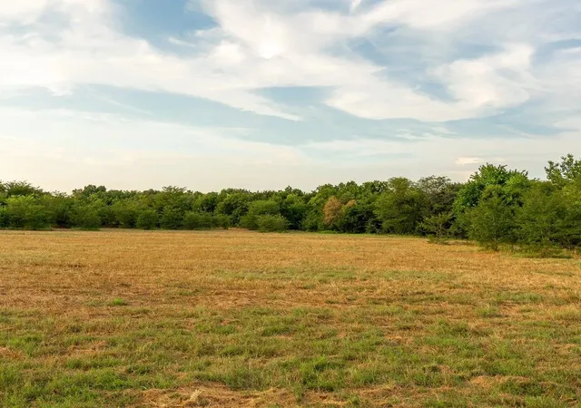 Photo 2 of Land for sale at Tbd County Road 3660 County Road 3660, Ladonia, TX 75449 | MLS# 20730513 | Listing updated on 2026-07-30