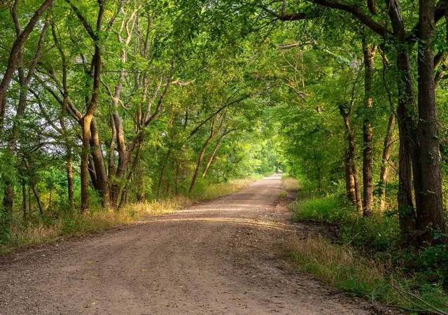 Photo 3 of Land for sale at Tbd County Road 3660 County Road 3660, Ladonia, TX 75449 | MLS# 20730513 | Listing updated on 2026-07-30