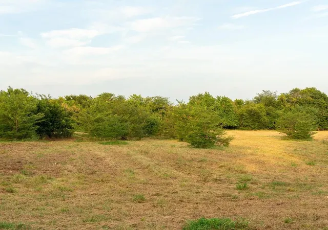 Photo 3 of Land for sale at Tbd County Road 3660 County Road 3660, Ladonia, TX 75449 | MLS# 20730513 | Listing updated on 2026-07-30