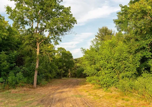 Photo 4 of Land for sale at Tbd County Road 3660 County Road 3660, Ladonia, TX 75449 | MLS# 20730513 | Listing updated on 2026-07-30