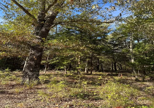 Photo 1 of Land for sale at 234 Private Road 34615, Sumner, TX 75486 | MLS# 20741383 | Listing updated on 2026-09-12