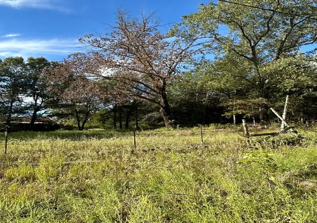 Photo 3 of Land for sale at 234 Private Road 34615, Sumner, TX 75486 | MLS# 20741383 | Listing updated on 2026-09-12